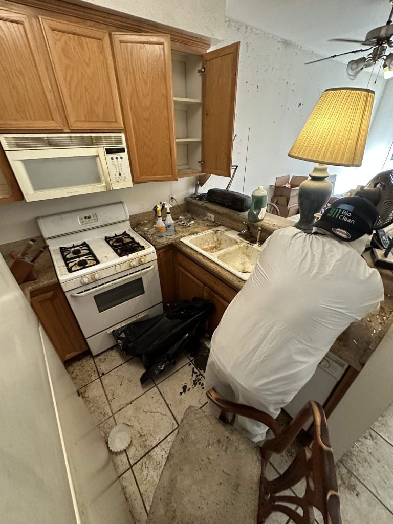 Rodent Feces Removal in Burbank, Glendale, Inglewood, Los Angeles and Surrounding Areas