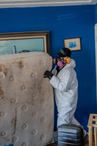 Odor Removal in Los Angeles, Burbank, Inglewood, Pasadena, Glendale and Nearby Cities