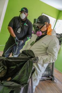 Pet Odor Removal in Los Angeles, Beverly Hills, Glendale, Pasadena and Nearby Cities