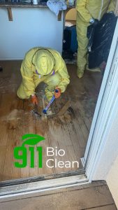 Santa Monica, CA Crime Scene Cleaners Performing Blood, Death, and Biohazard Clean Up Services