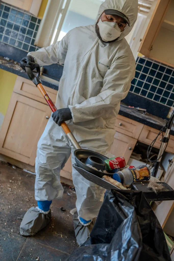 Rodent Feces Removal in Los Angeles, Pasadena, Beverly Hills, Burbank and Surrounding Areas