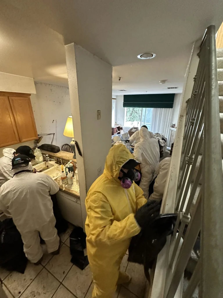 Hoarding Cleanup Crew Cleaning Kitchen in Los Angeles, CA